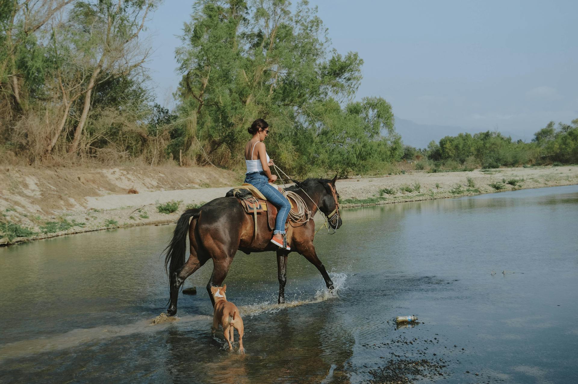 Getting Started with Horseback Riding