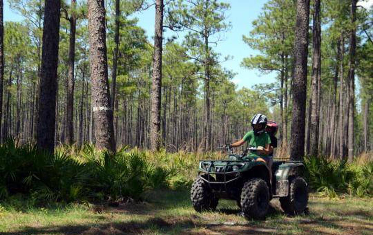 ATV Riding in South Florida: A Beginner’s Guide